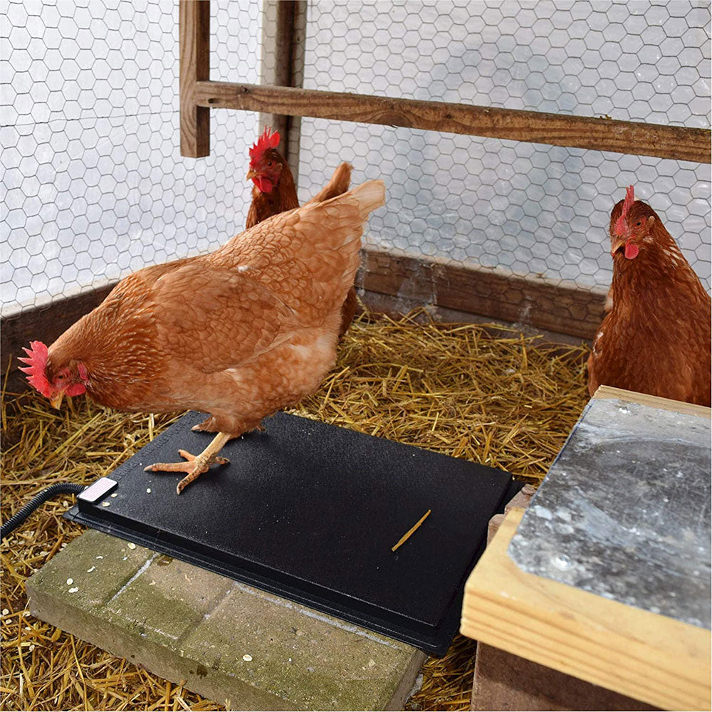 Farm Innovators 19 x 13 Inch Heated Chicken Mat for Coops and Nesting Areas