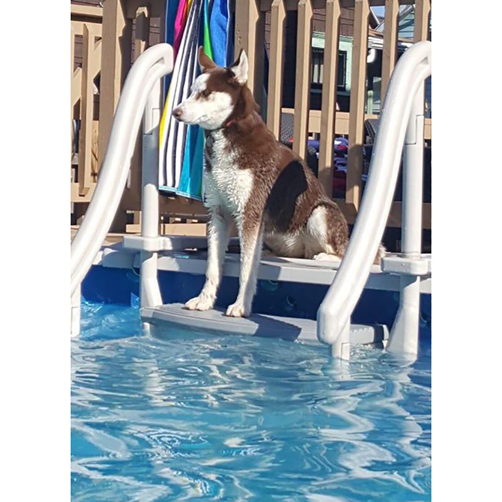 Confer Plastics Curved Pool Step & Hydrotools by Swimline 36"x36" Ladder Mat - VMInnovations