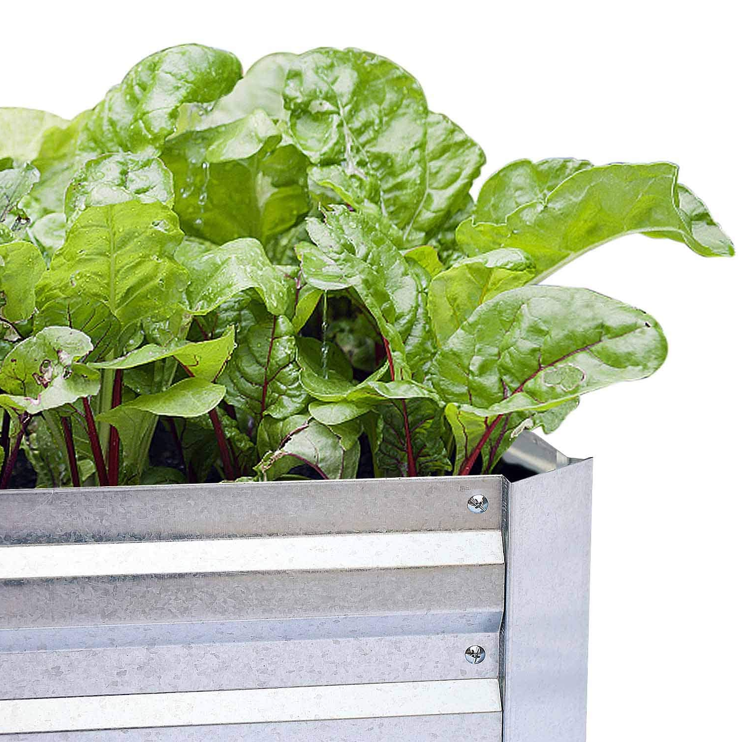 FOYUEE Galvanized Outdoor Steel Metal Raised Garden Beds for Vegetables, Gray - VMInnovations