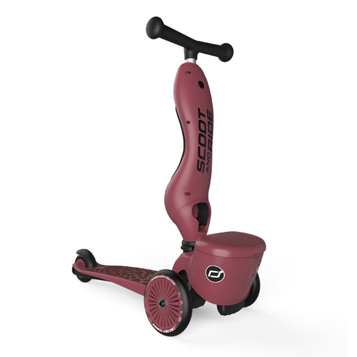 Scoot & Ride 2-in-1 Kids Scooter with Push Bar, Highwaykick 1 Push & Go, Ash