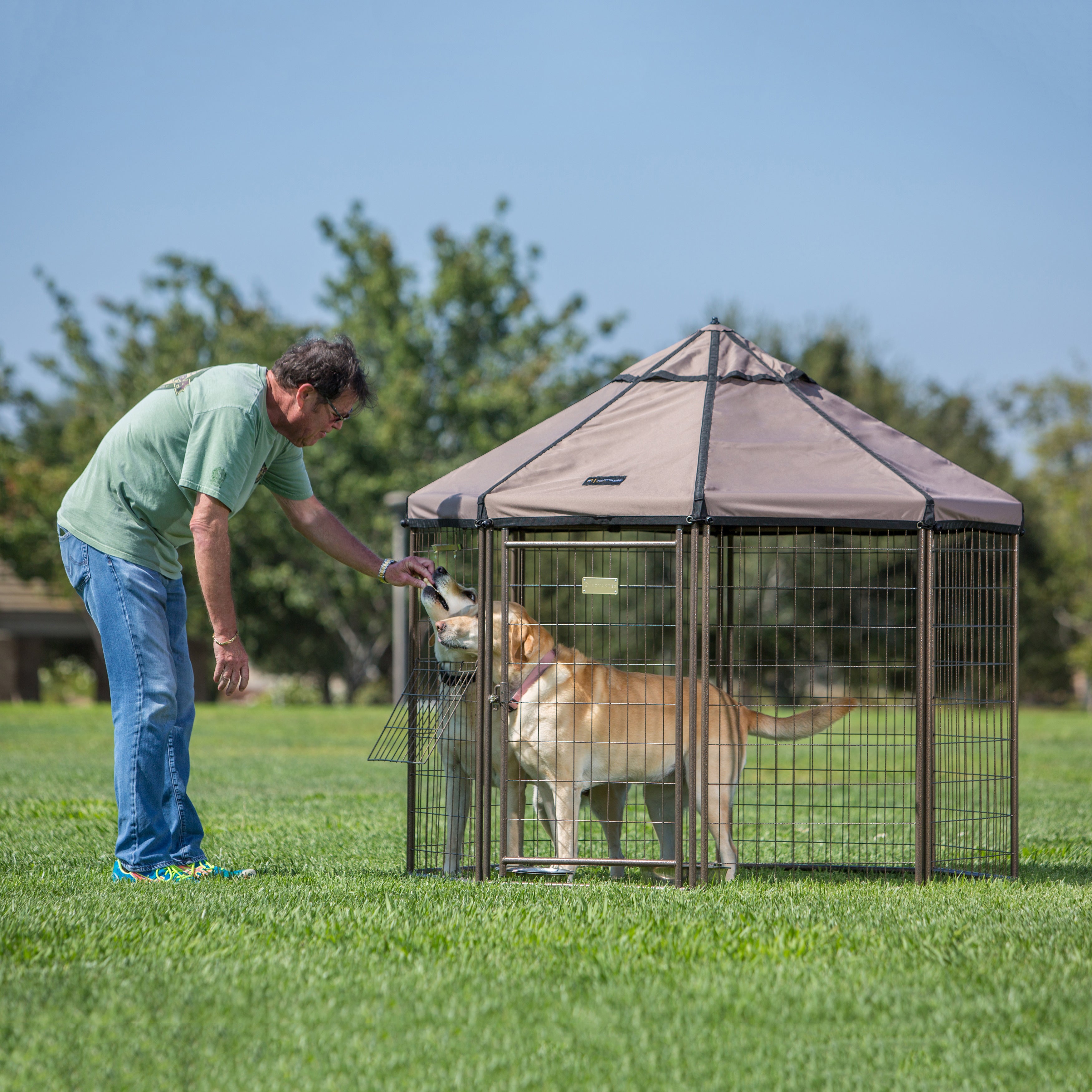 Advantek 5 Ft Portable Indoor Outdoor Metal Pet and Dog Gazebo with Cover (Used) - VMInnovations