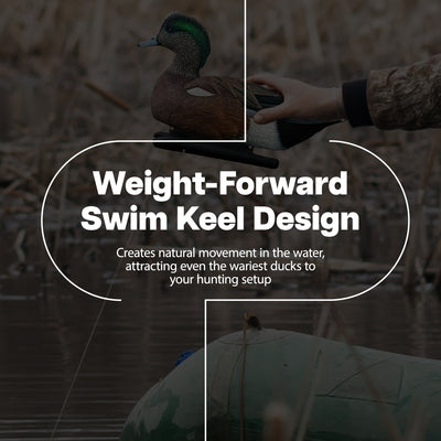 Avian X Wigeons Decoys Bundled with Pintails and Gadwall Decoys, Multicolor