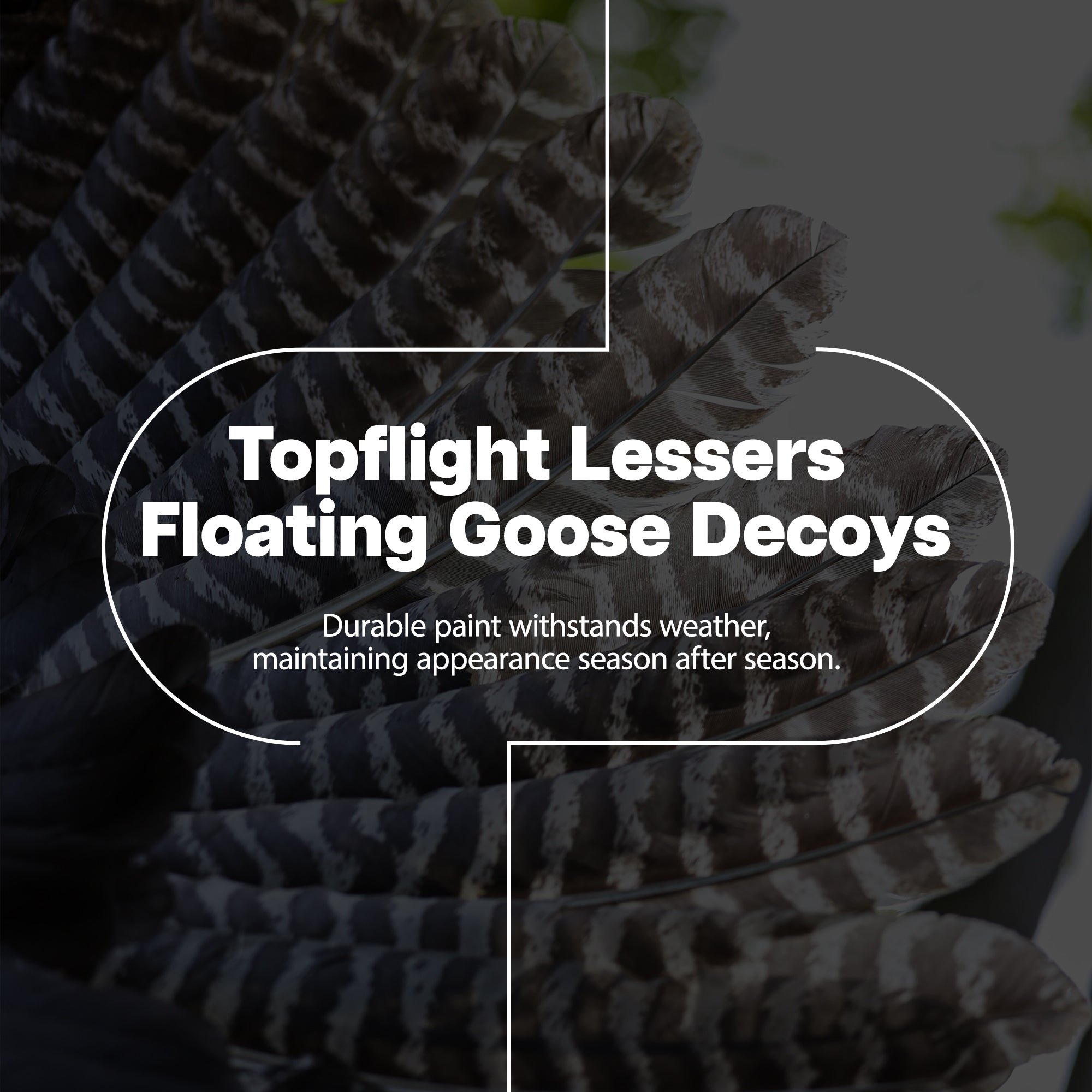 Avian X AXP Honkers Fusion Pack Decoys Bundle w/Topflight Lesser Floating Decoys