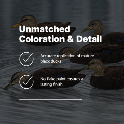 Avian X Topflight Black Ducks Realistic Decoy Sets with Flocked Bodies, 3 Pack - VMInnovations