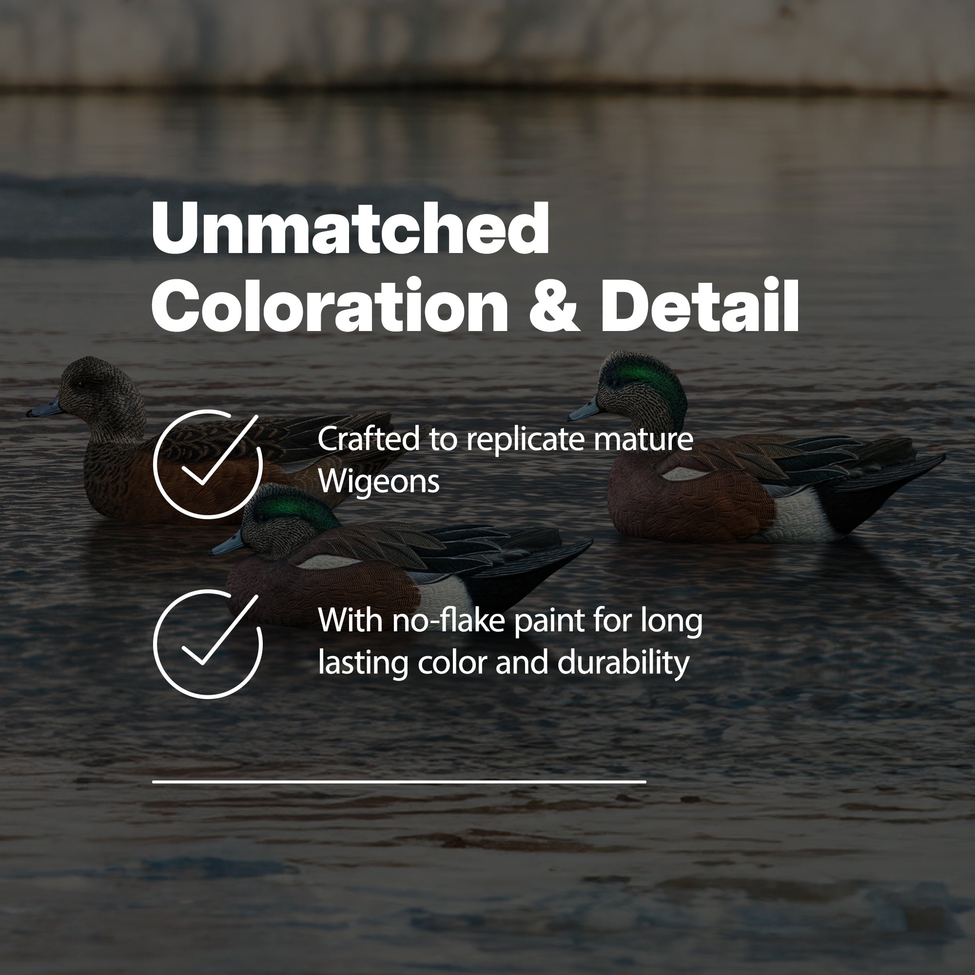 Avian X Wigeons Decoys Bundled with Pintails and Gadwall Decoys, Multicolor