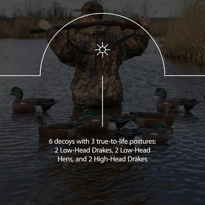 Avian X Wigeons Decoys Bundled with Pintails and Gadwall Decoys, Multicolor