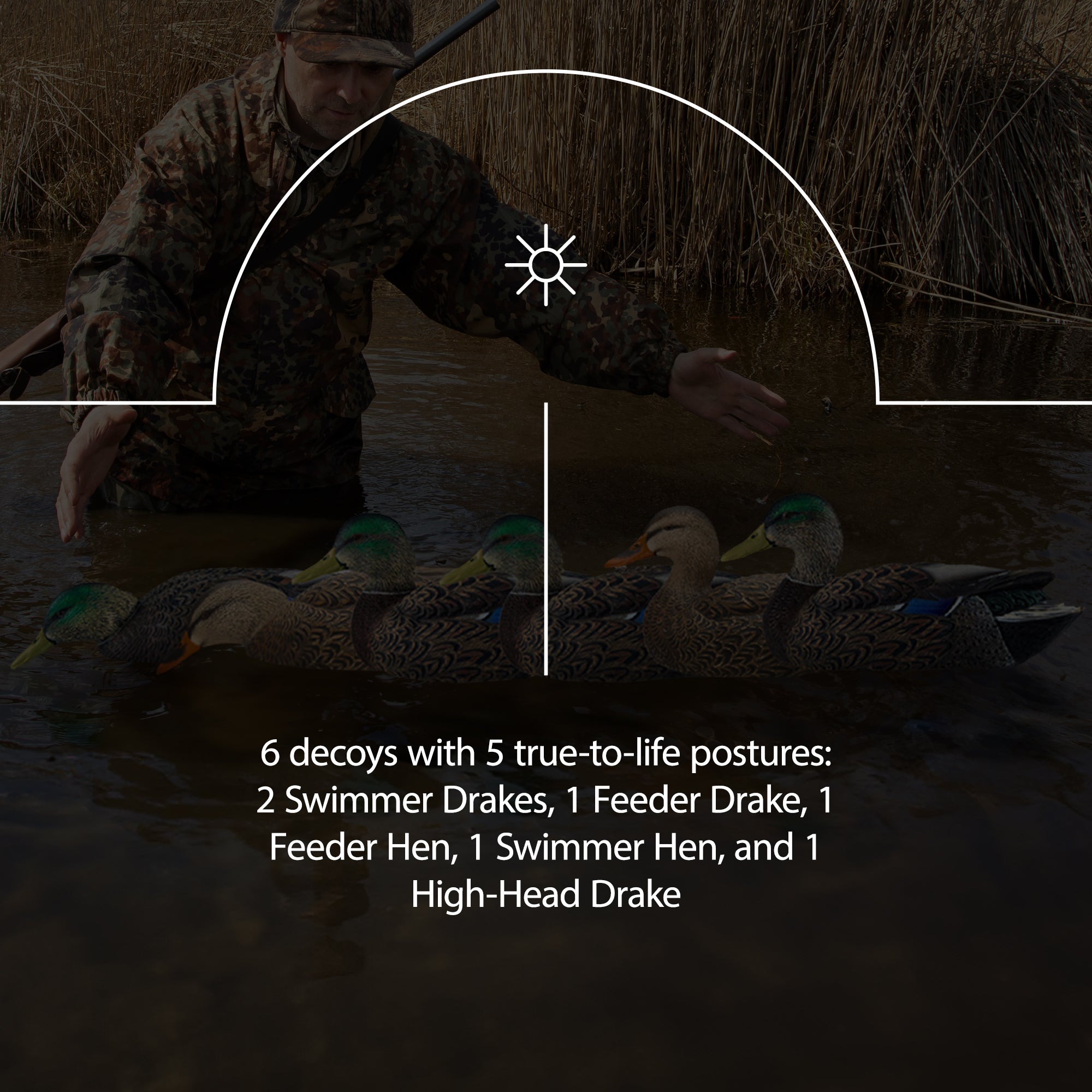 Avian X Topflight Mallard Duck, 6 Pack, with Early Season Teal Decoys, 6 Pack