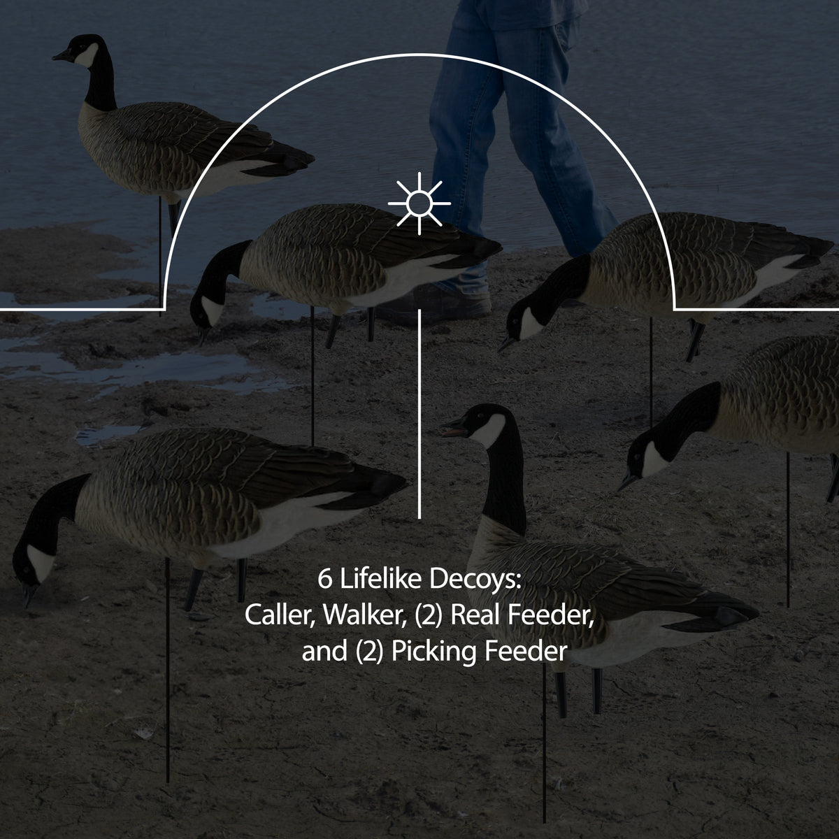 Avian X AXP Honkers Fusion Pack Decoys Bundled with Lessers 6 Piece Fusion Pack