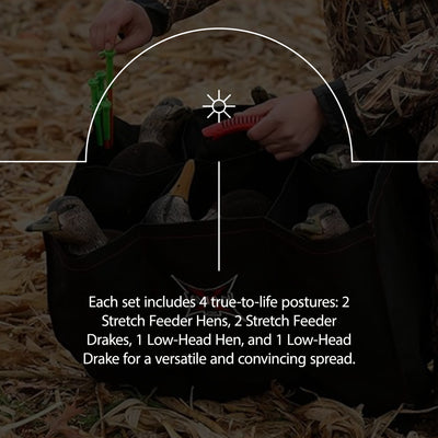 Avian X AXF Black Ducks Decoys Bundled with AXP Mallards Decoys, Wind Activated - VMInnovations