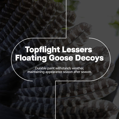 Avian X Lessers 4 Topflight Floating Hunting Decor with Lessers 6 Fusion Pack