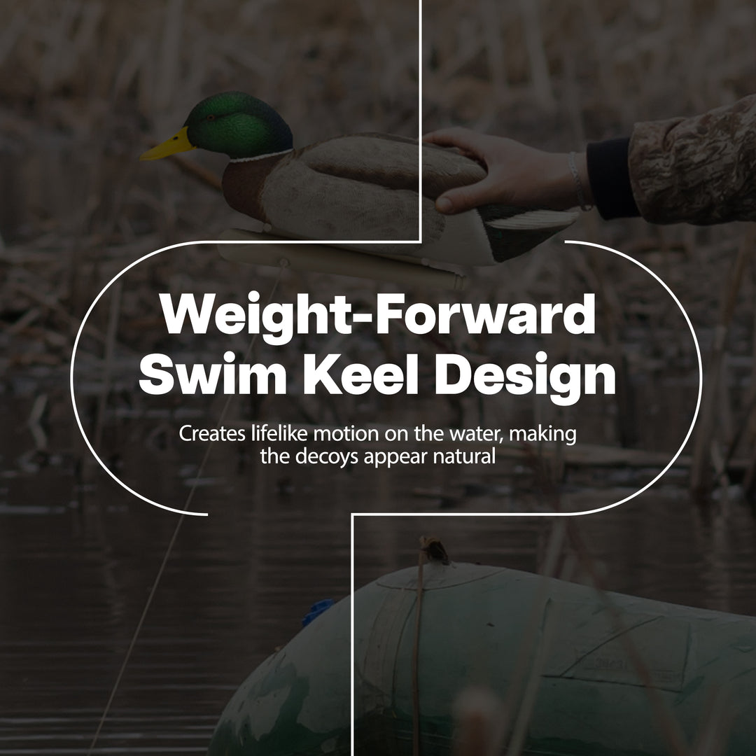 Avian X Topflight Backwater Mallards Decoys, Realistic Floating, 6pk (Open Box) - VMInnovations