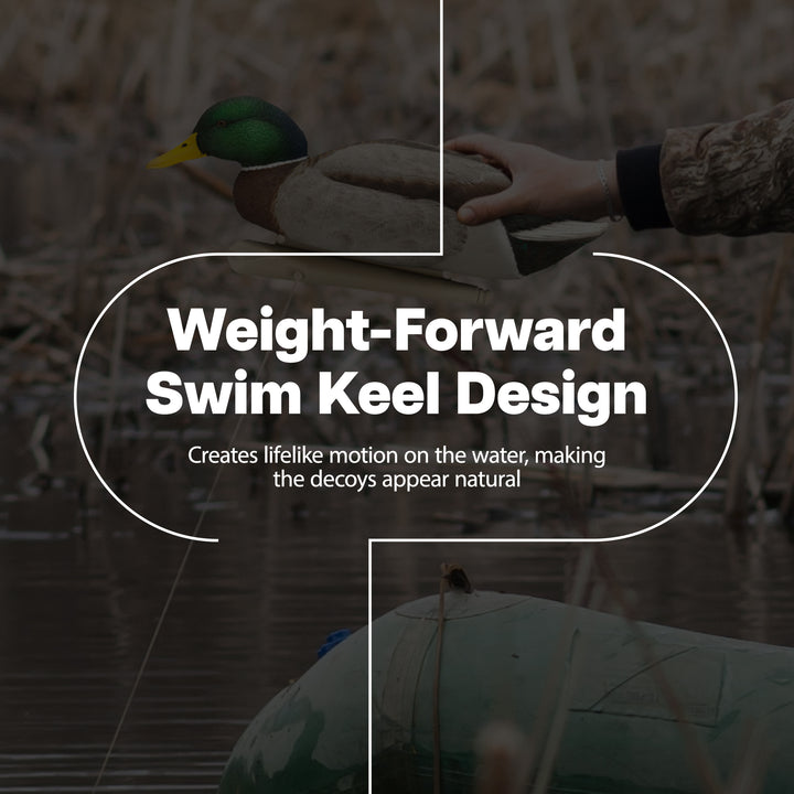 Avian X Topflight Backwater Mallards Decoys, Realistic Floating, 6pk (Open Box) - VMInnovations