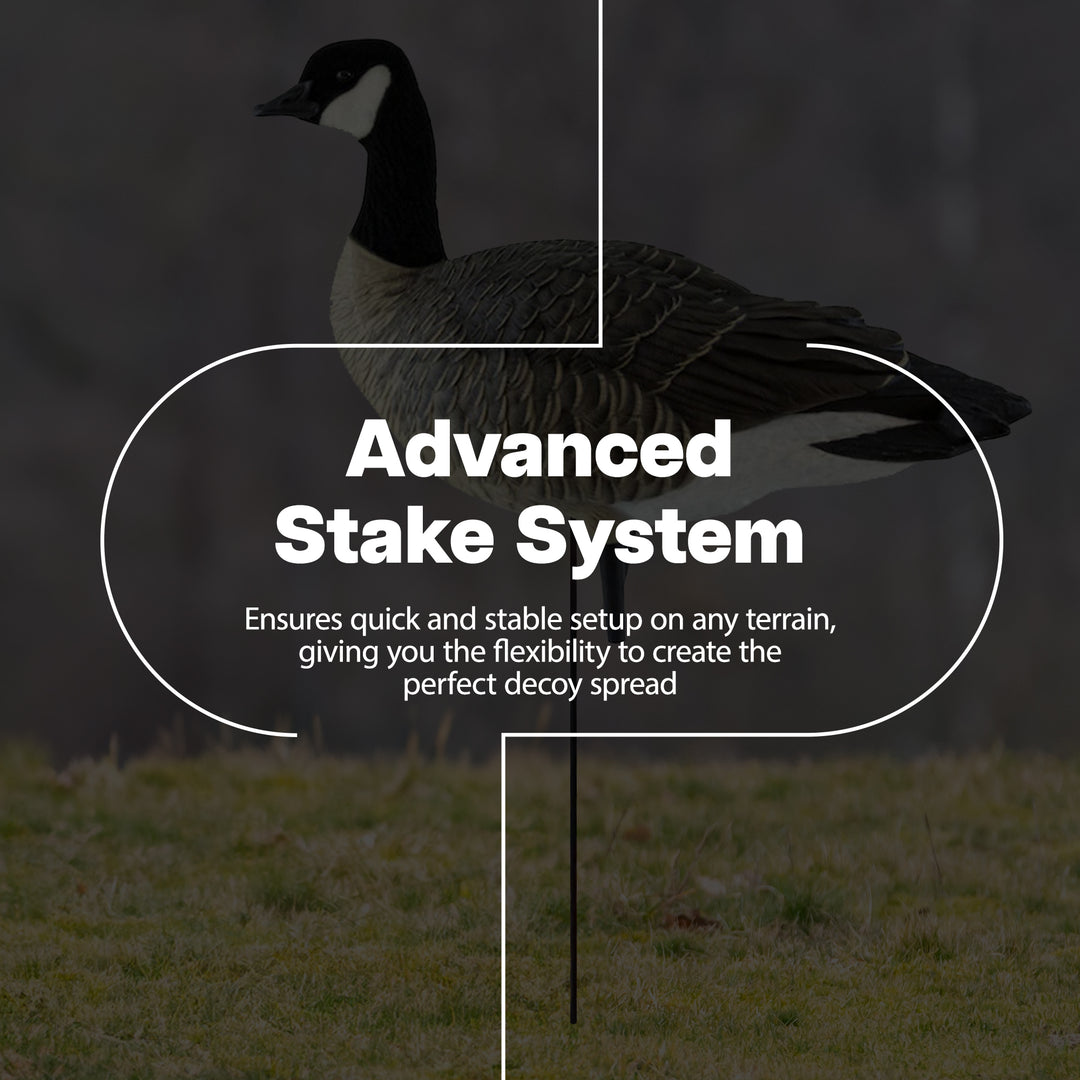 Avian X Lessers 6pc Fusion Pack for Hunting Purposes & Outdoor Sports (Open Box) - VMInnovations