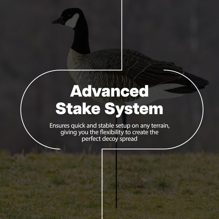 Avian X Lessers 6pc Fusion Pack for Hunting Purposes & Outdoor Sports (Open Box) - VMInnovations