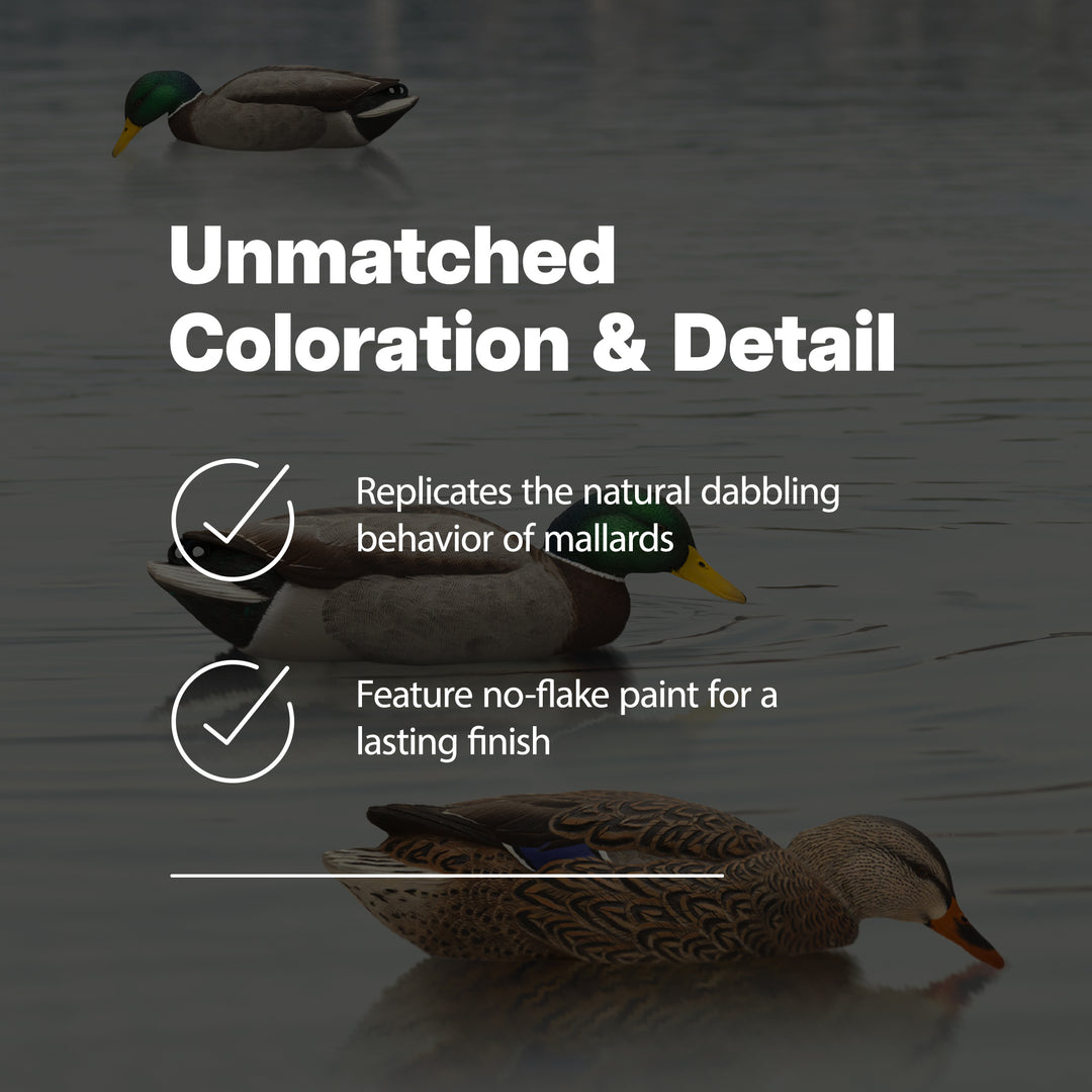 Avian X Topflight Backwater Mallards Decoys, Realistic Floating, 6pk (Open Box)