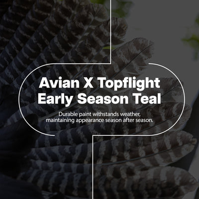 Avian X Early Season Teal w/Realistic True to Life Postures, 6pk(Open Box) - VMInnovations