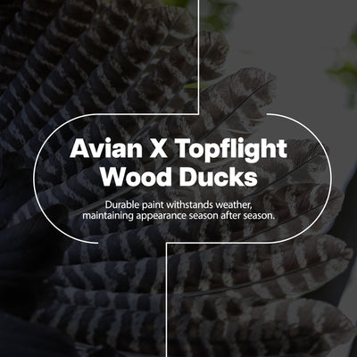 Avian X Topflight Wood Ducks, Realistic Floating Decoys, 18 Pack, Multicolor