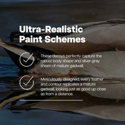 Avian X Topflight Gadwall Decoys Realistic Gray Ducks, Set of 6, Multicolor
