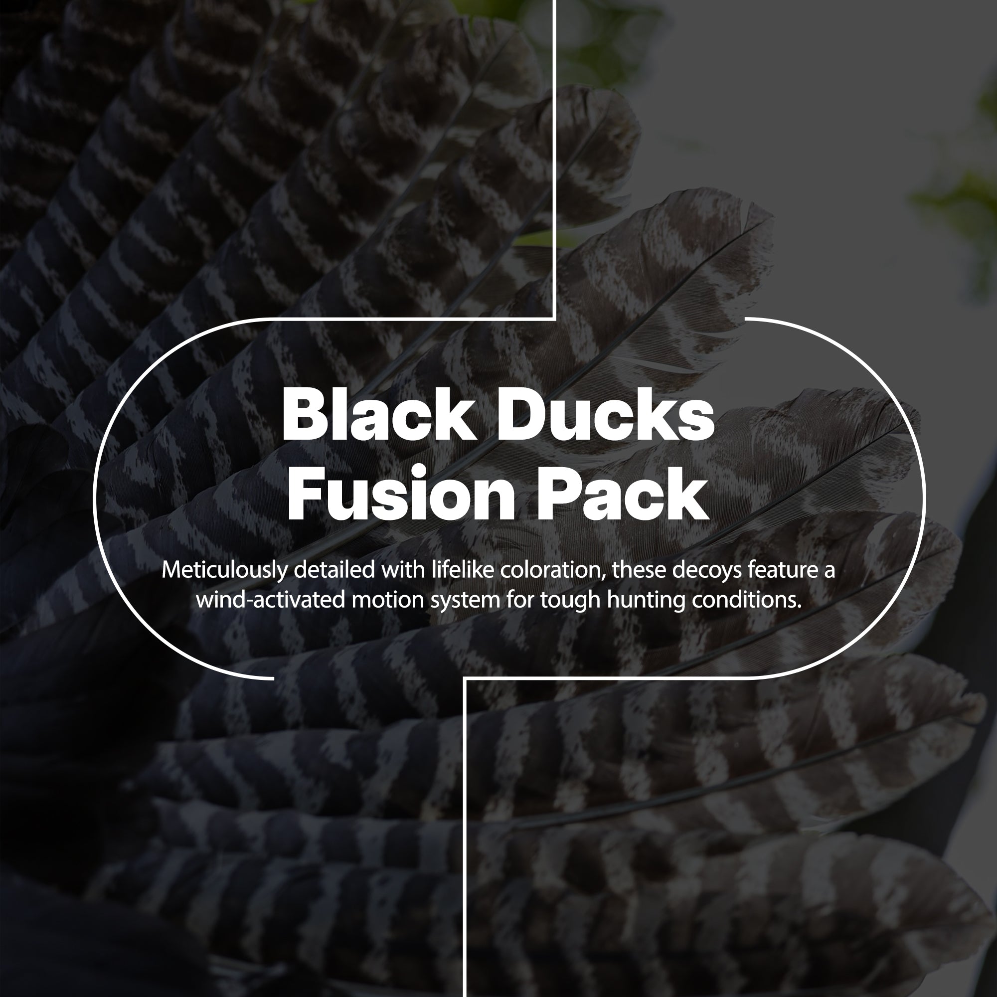 Avian X AXF Flocked Full Body Black Ducks Fusion Pack with Rugged Durability