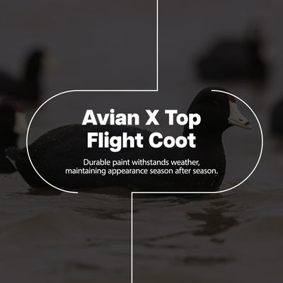Avian X Top Flight Coot w/Ultra Realistic Paint Scheme, 6pk (Open Box) - VMInnovations