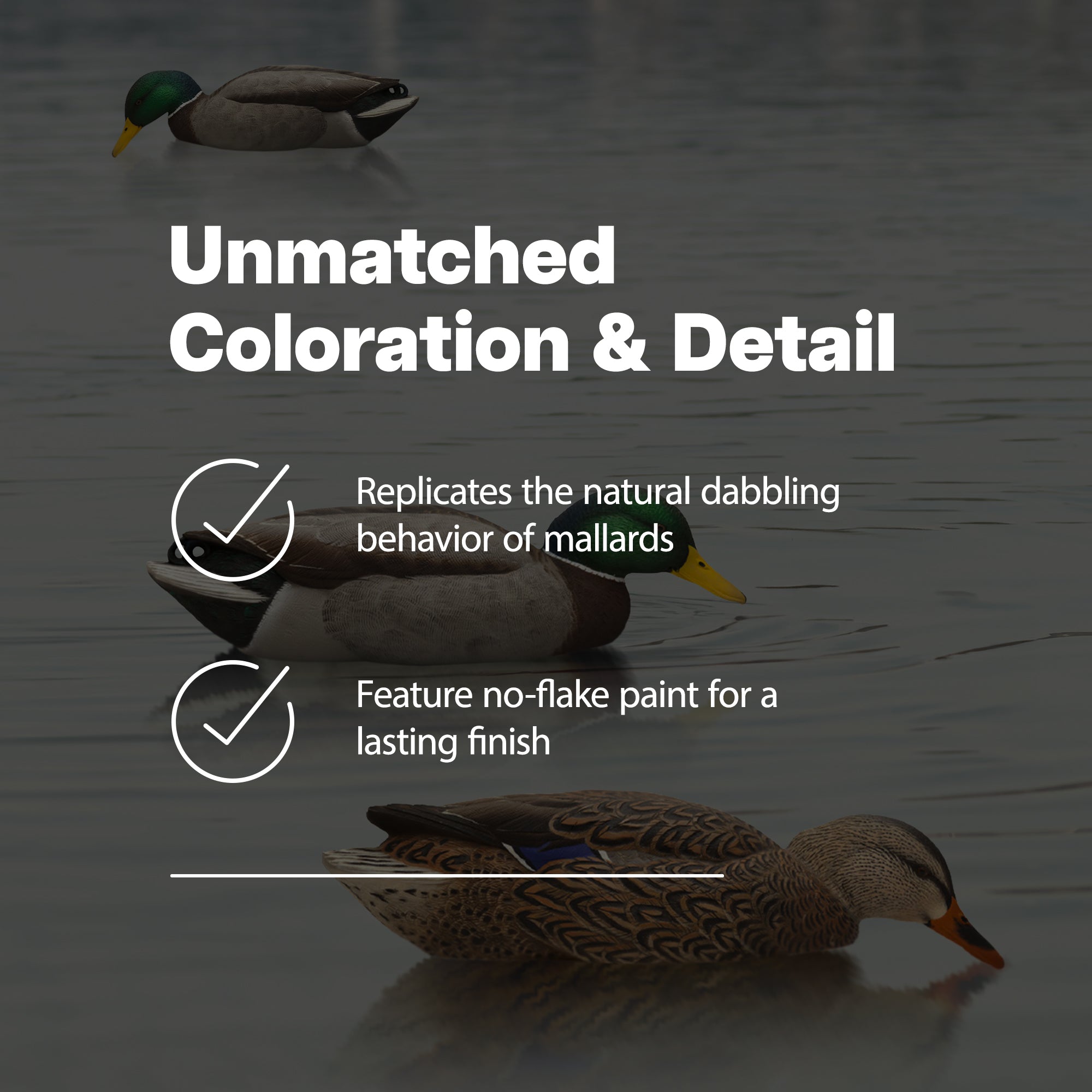 Avian X Topflight Floating Fusion Mallards & Topflight Backwater Mallards Decoys
