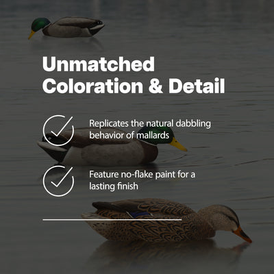 Avian X Topflight Floating Fusion Mallards & Topflight Backwater Mallards Decoys