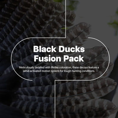 Avian X AXF Flocked Full Body Rugged Durable Black Ducks Fusion Pack, 12 Pack