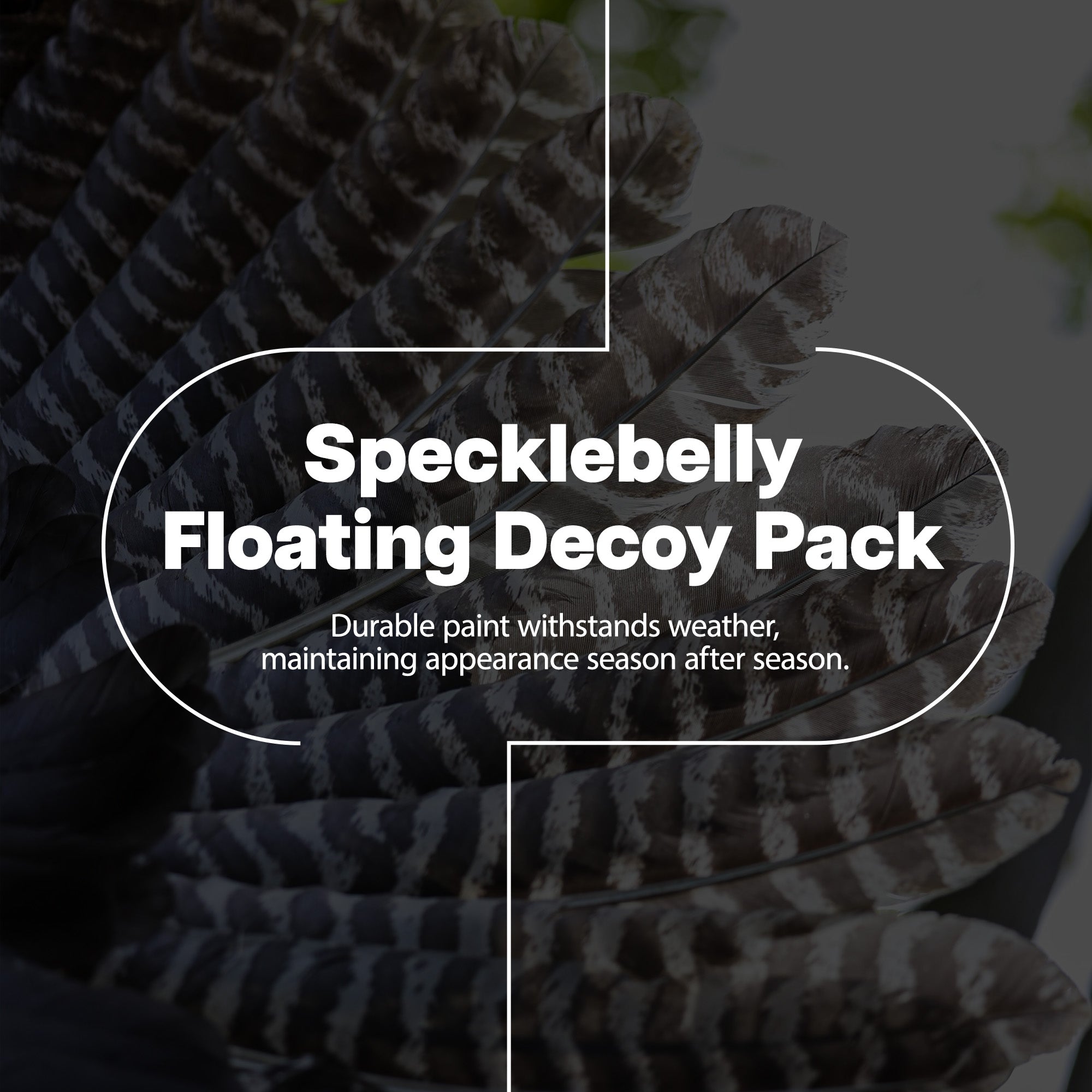 Avian X Topflight Specklebelly Goose Decoys with True to Life Postures, 12 Pack