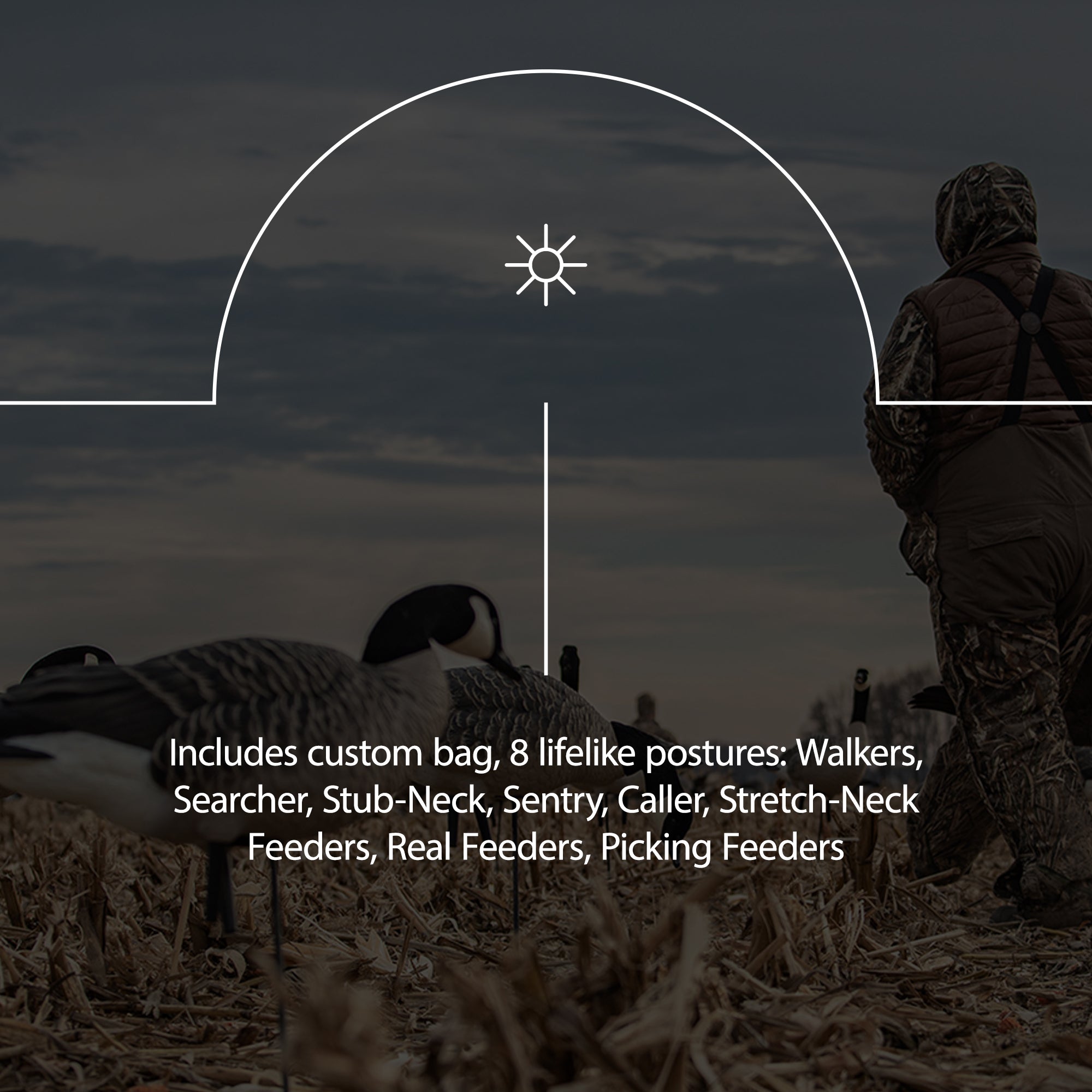 Avian X AXF Lessers Flocked Full Body Lifelike Goose Hunting Decoys, 12 Pack
