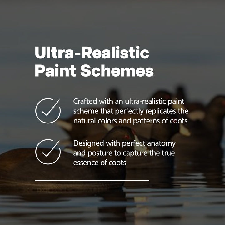 Avian X Top Flight Coot w/Ultra Realistic Paint Scheme, 6pk (Open Box)