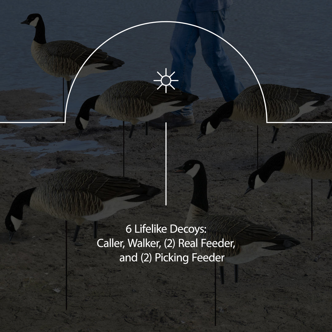 Avian X Lessers 6pc Fusion Pack for Hunting Purposes & Outdoor Sports (Open Box) - VMInnovations