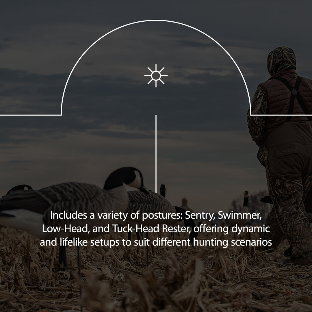 Avian X Topflight Lessers Floating Goose Hunting Decoys for Hunting Purposes