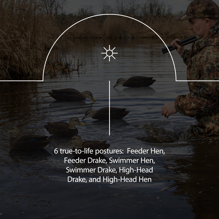 Avian X Topflight Black Ducks Decoys with Flocked Bodies, Realistic Paint Scheme - VMInnovations