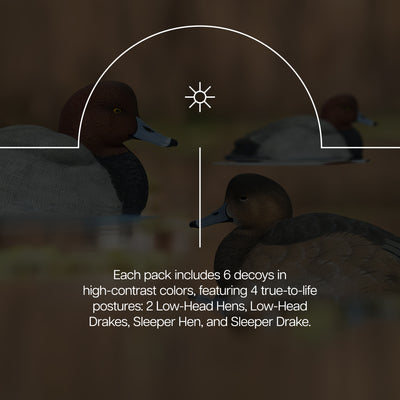 Avian X Redheads Realistic Decoys w/Weight Forward Swim Keel, Set of 6(Open Box) - VMInnovations