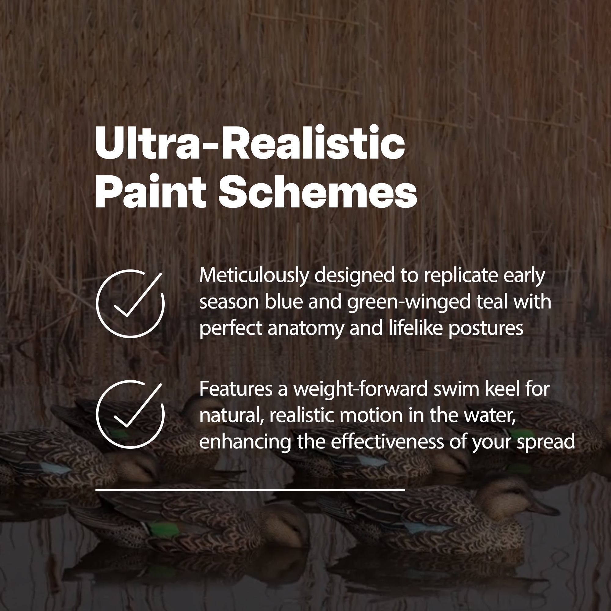 Avian X Early Season Teal w/Realistic True to Life Postures, 6pk(Open Box) - VMInnovations
