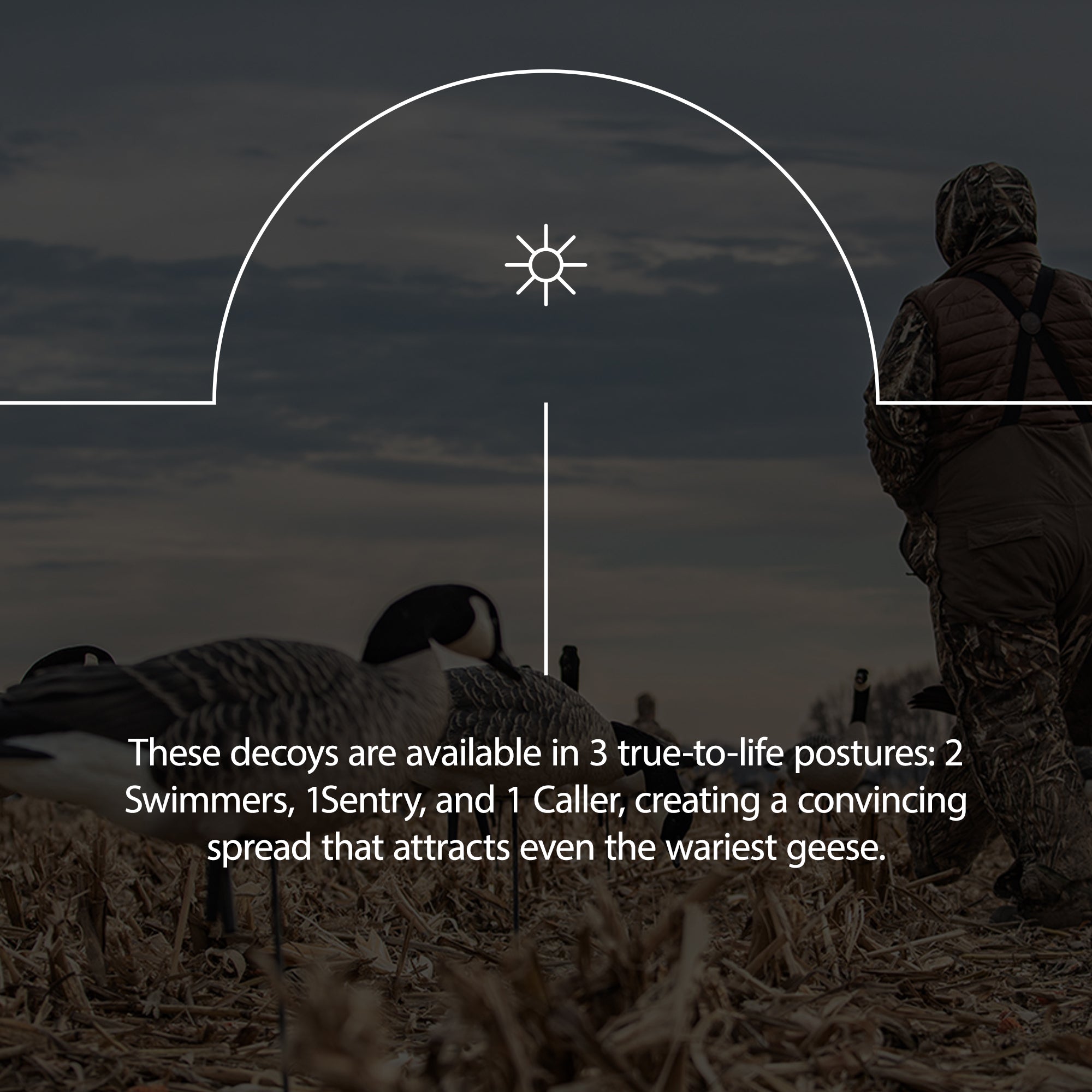 Avian X Topflight Honker Floaters with True to Life Postures for Hunting, 8 Pack