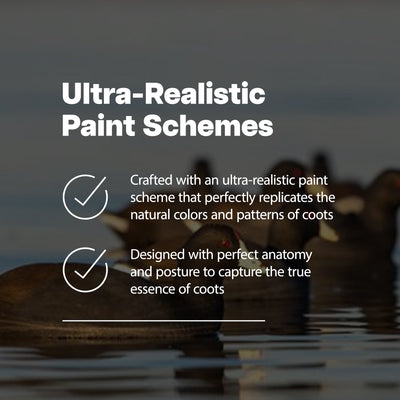 Avian X Top Flight Coot w/Ultra Realistic Paint Scheme, 6pk (Open Box) - VMInnovations
