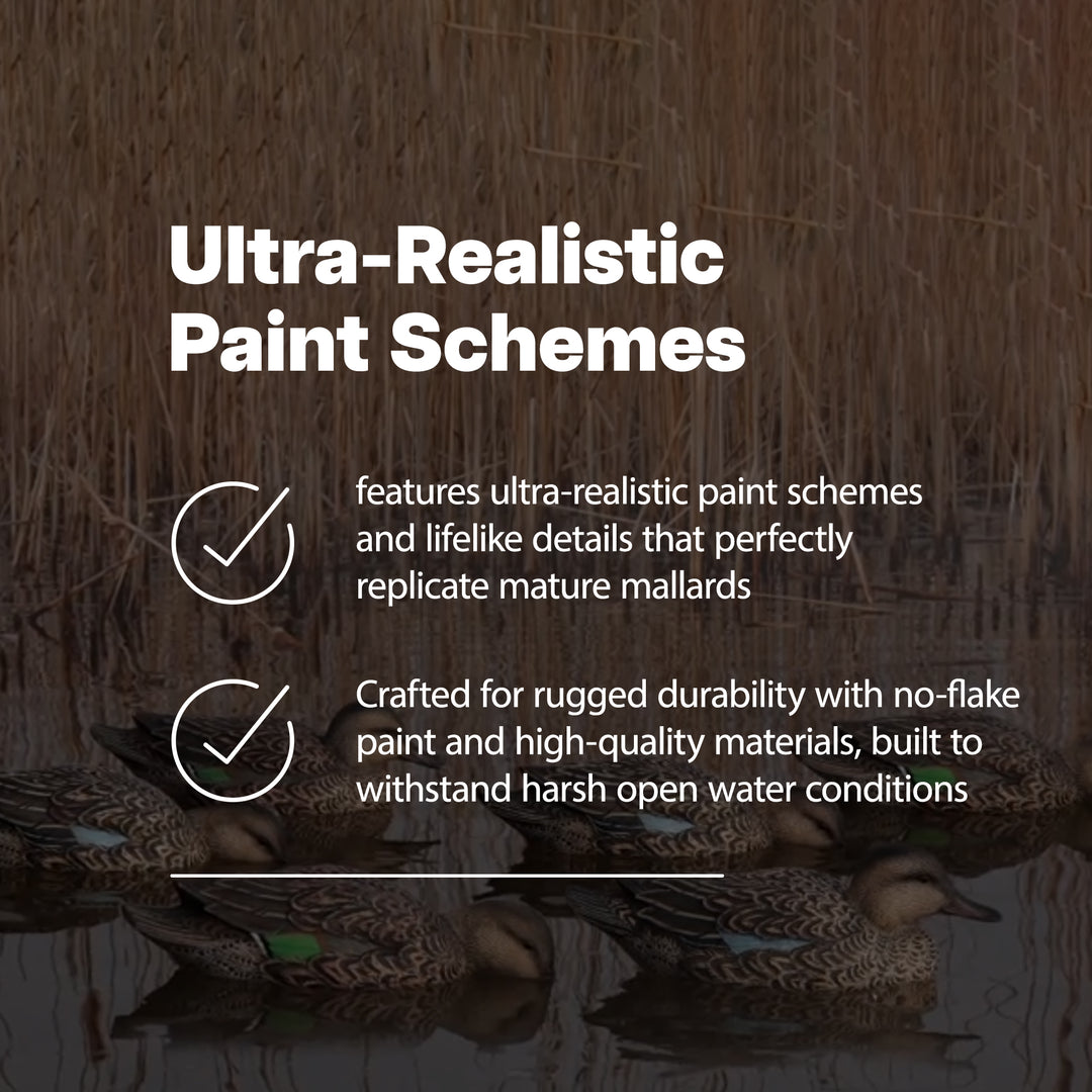 Avian X Top Flight Open Water Mallards Decoys, Ultra Realistic Floating, 6 Pack - VMInnovations