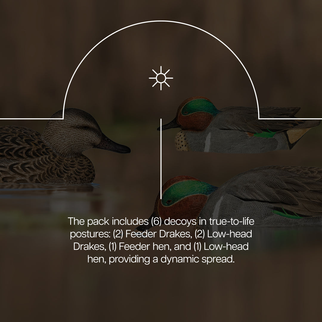 Avian X Topflight Green-Winged Teal Duck, Floating Decoys, Set of 6, Multicolor - VMInnovations