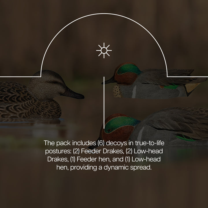 Avian X Topflight Green-Winged Teal Duck, Floating Decoys, Set of 6, Multicolor - VMInnovations