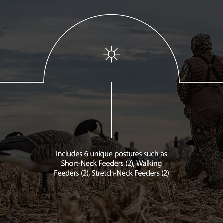 Avian X AXP Honkers Full Body Realistic Paint Canada Goose Decoys Feeder Pack - VMInnovations