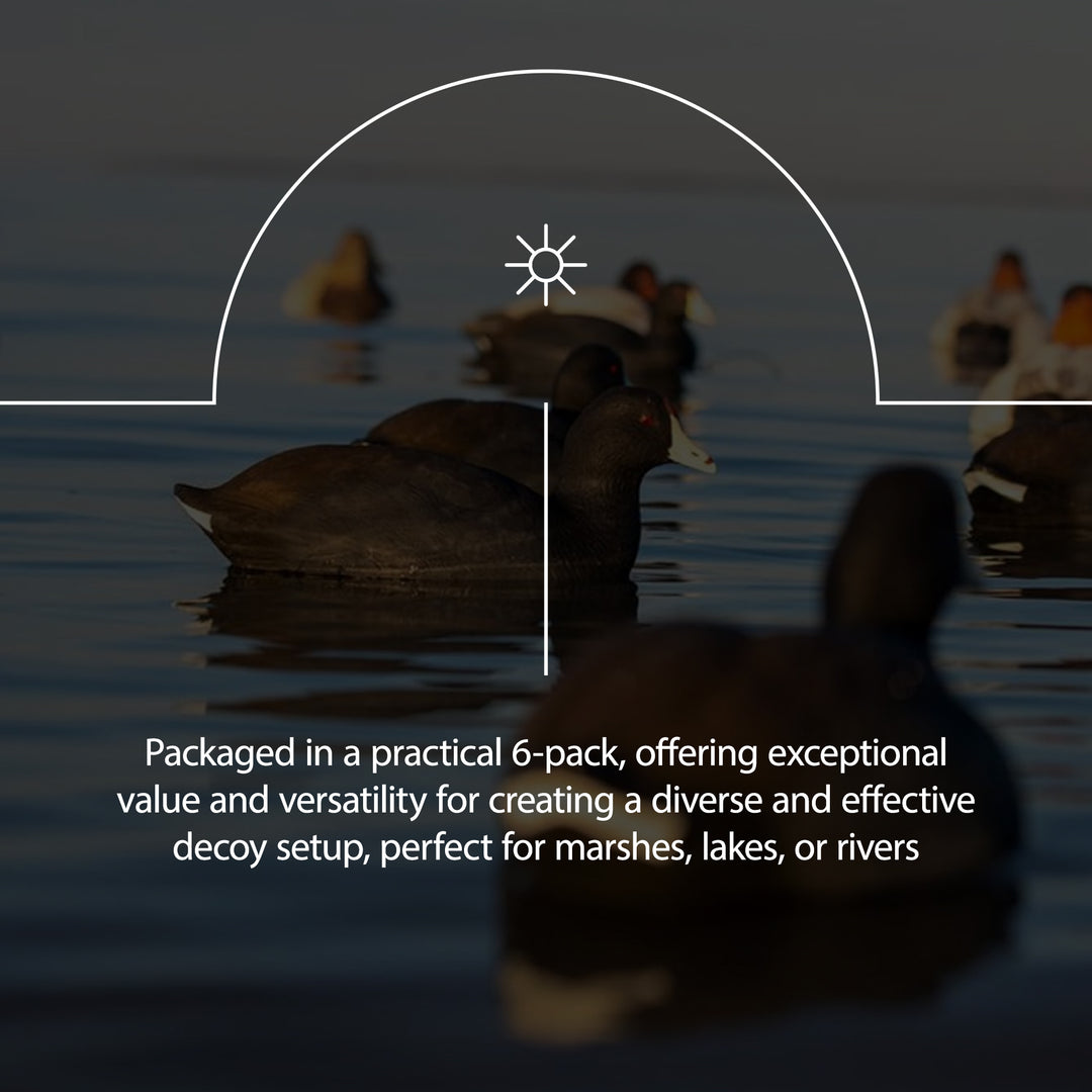 Avian X Top Flight Coot w/Ultra Realistic Paint Scheme, 6pk (Open Box)