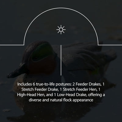 Avian X AXP Full Body Mallards Decoy, Ultra Realistic and Wind Activated, 6 Pack