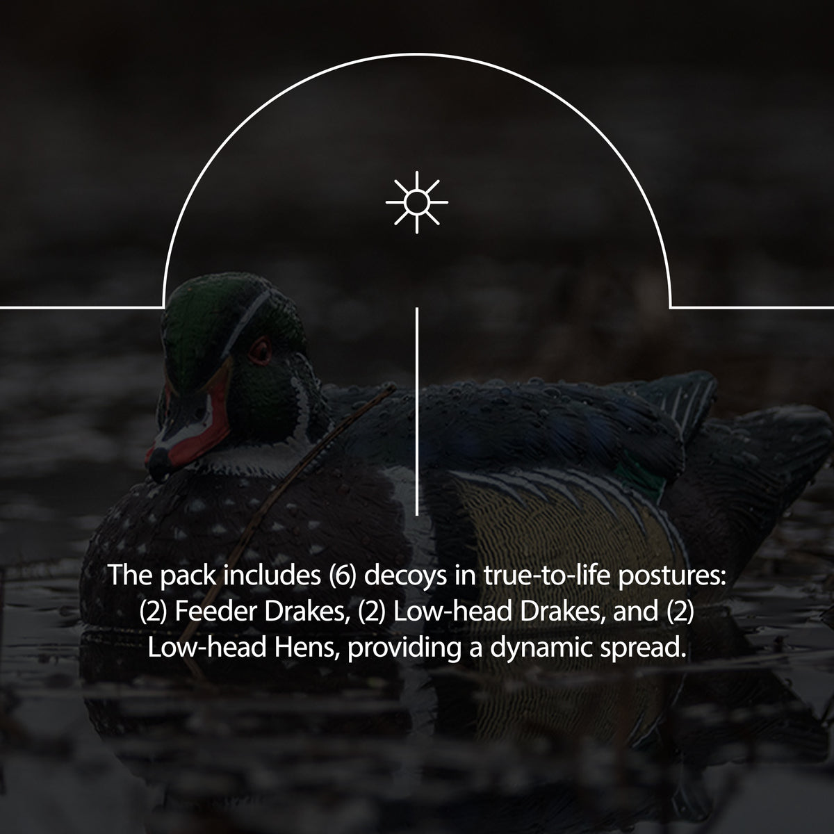 Avian X Topflight Wood Ducks, Realistic Floating Decoys, 18 Pack, Multicolor
