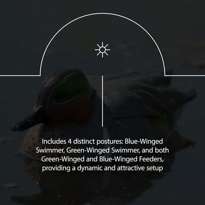 Avian X Early Season Teal w/Realistic True to Life Postures, 6pk(Open Box) - VMInnovations