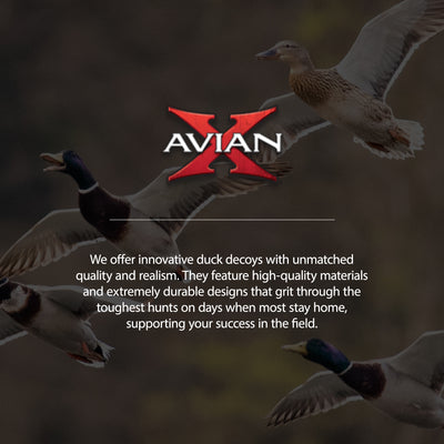 Avian X AXF Lessers Flocked Full Body Lifelike Goose Decoys, 12 Pack (Open Box)