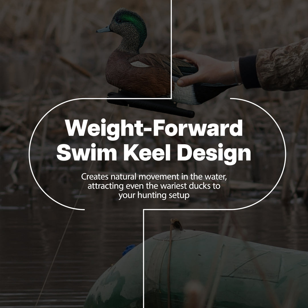 Avian X Topflight Wigeons, Rugged Realistic Floating Decoys, 6 Pack (Open Box)