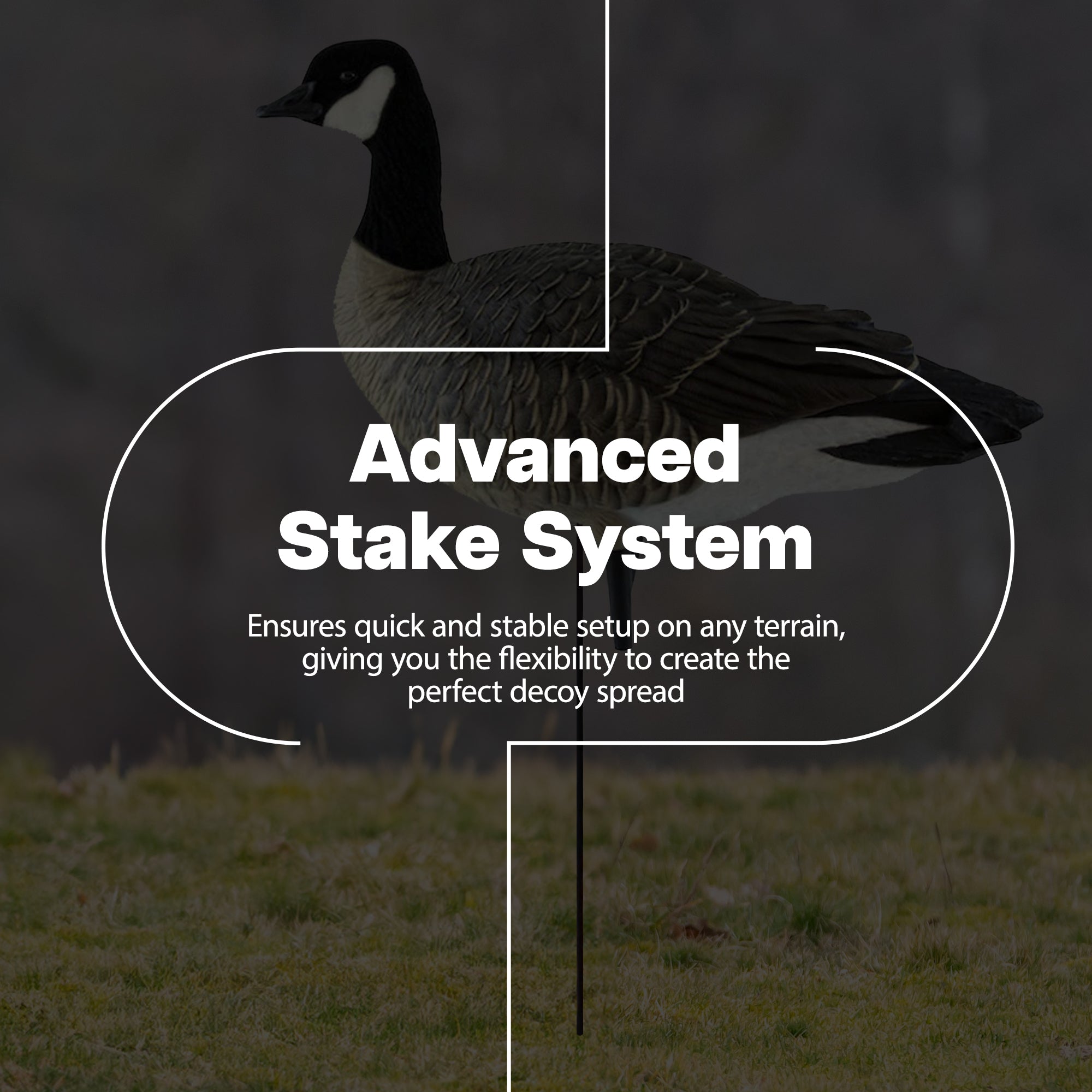 Avian X AXP Honkers Fusion Pack Goose Decoy with 6 Piece Fusion Pack for Hunting