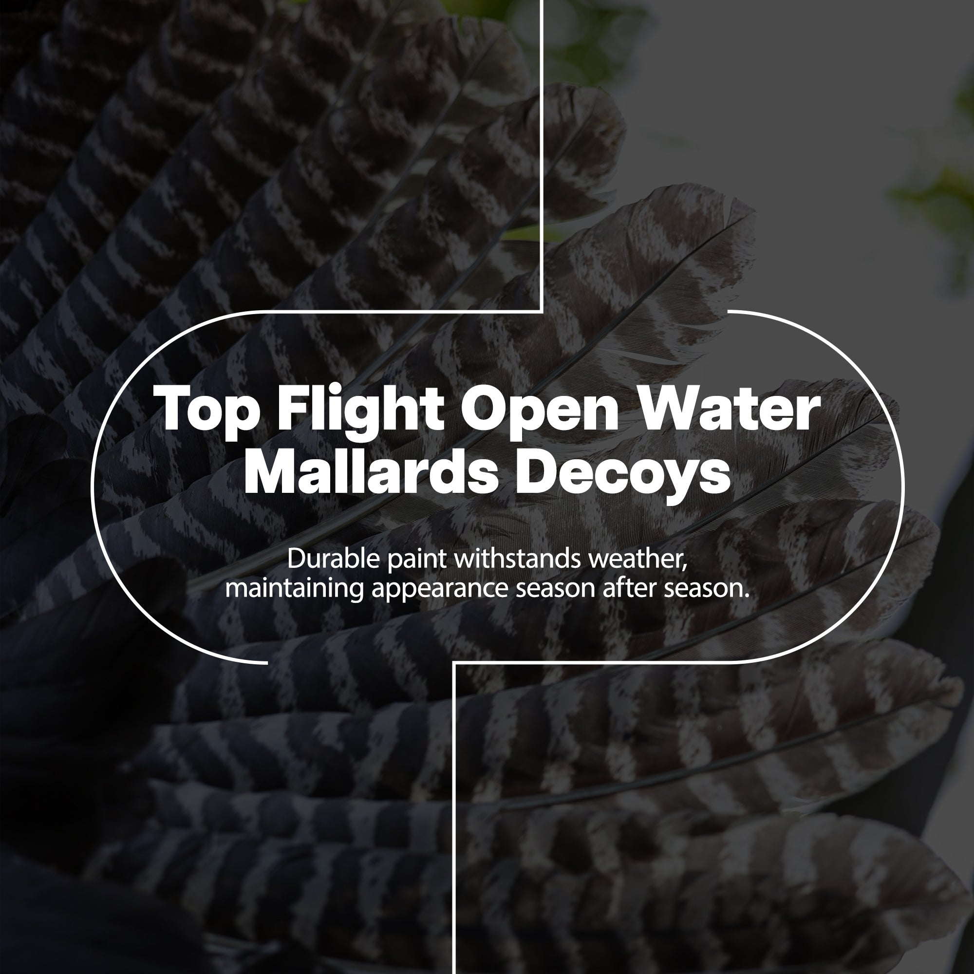 Avian X Open Water Mallards Decoys, Ultra Realistic Floating, 6pk (Used) - VMInnovations