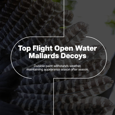 Avian X Open Water Mallards Decoys, Ultra Realistic Floating, 6pk (Used) - VMInnovations